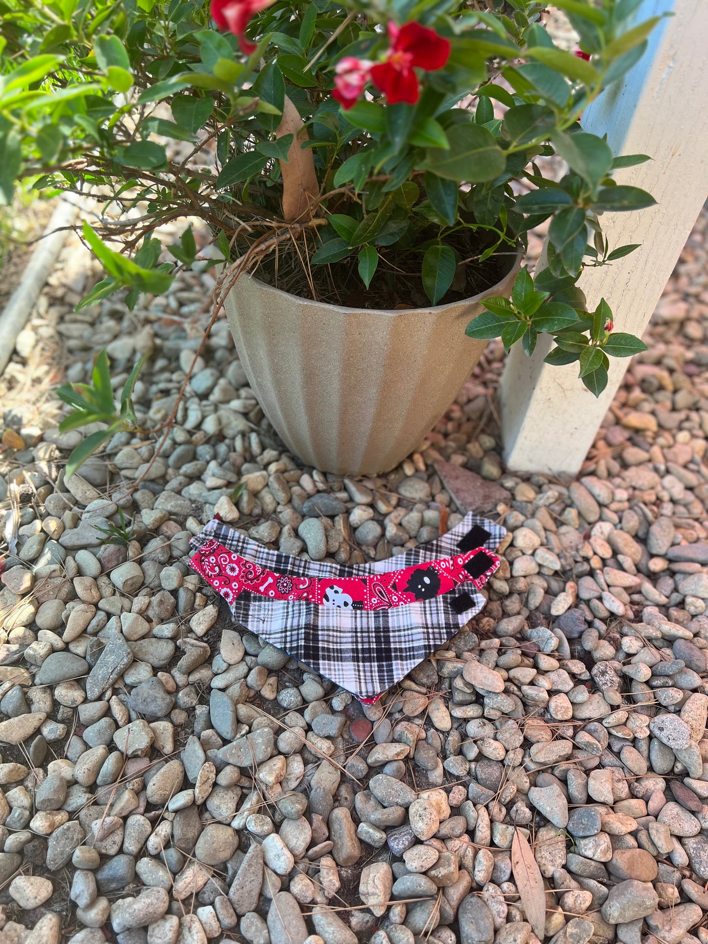 Plaid & dog bandana print velcro dog bandanas