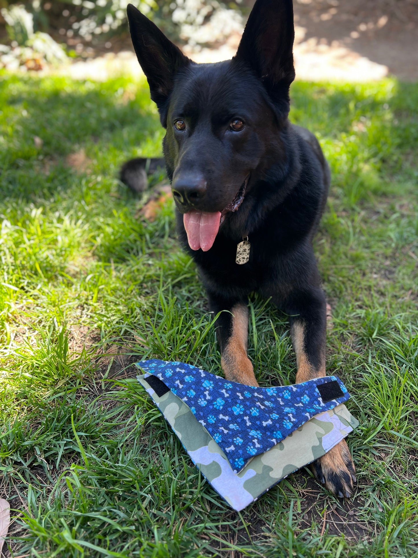 Paw print & Camo velcro dog bandana